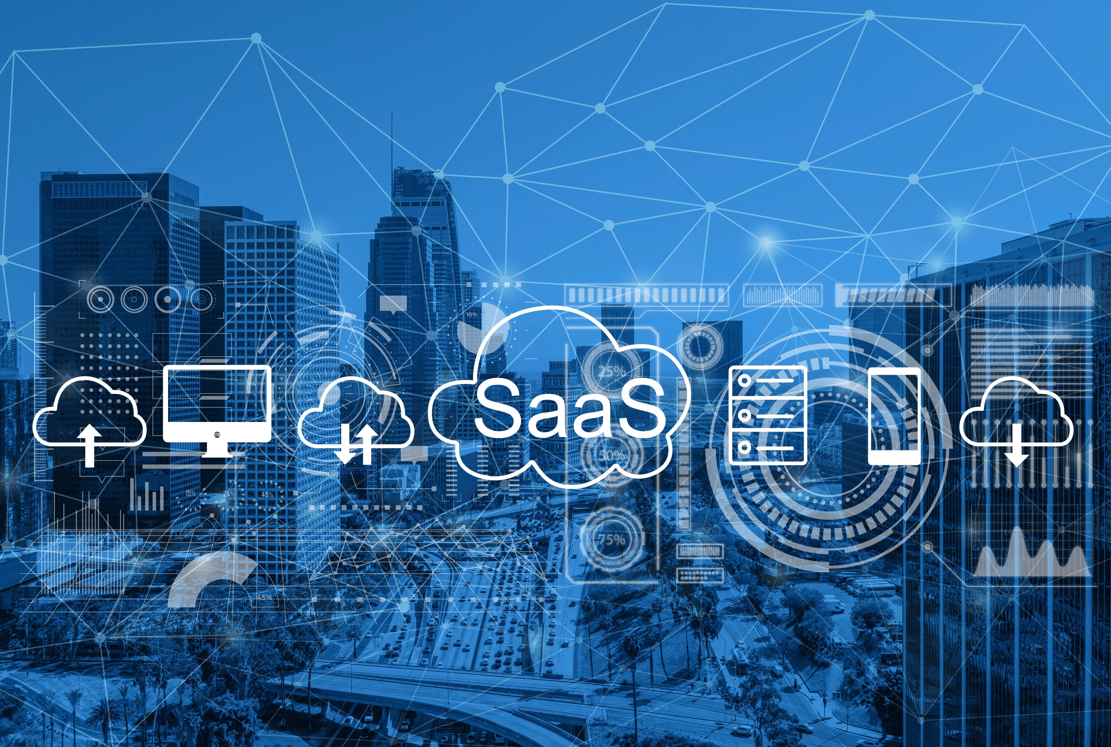 SaaS Platform Development
