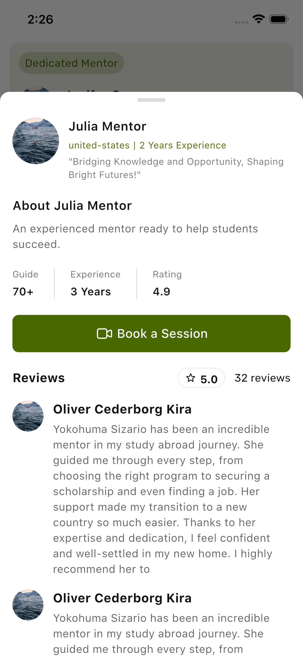 Mentor details